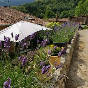  Hébergement de vacances De Charme France